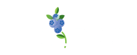 FC_new_white_logo